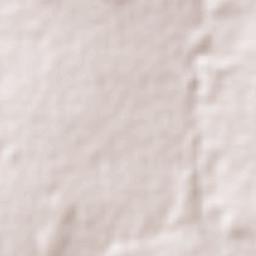 Campo Novo do Parecis Terrain Map