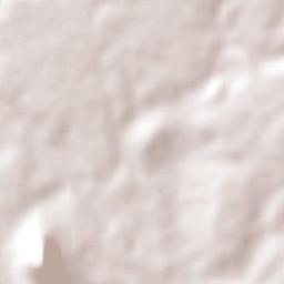 Dom Basílio Terrain Map