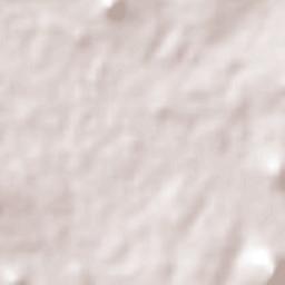 Guanambi Terrain Map