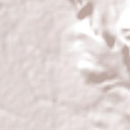 Palmas de Monte Alto Terrain Map