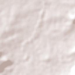 Campinápolis Terrain Map