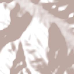 Maranganí Terrain Map