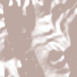 Provincia de Canas Terrain Map