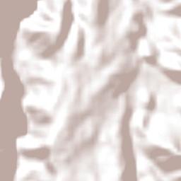 Santo Tomas Terrain Map