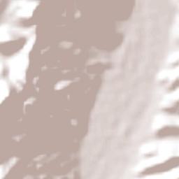 Río Grande Terrain Map