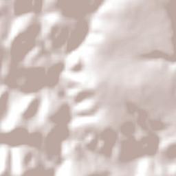 Licínio de Almeida Terrain Map