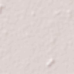 San Borja Terrain Map