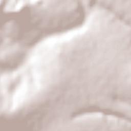 Jacaraci Terrain Map