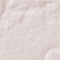 Gameleiras Terrain Map