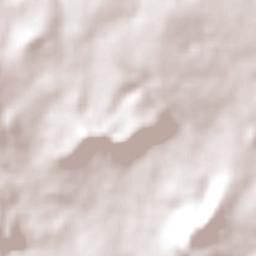 Rio Branco Terrain Map