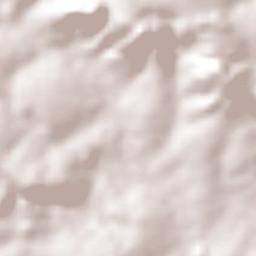 São Patrício Terrain Map