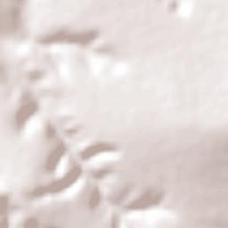 São João do Paraíso Terrain Map