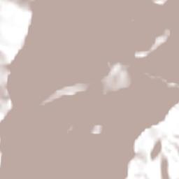 Provincia Larecaja Terrain Map