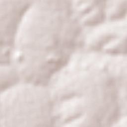 São José dos Quatro Marcos Terrain Map