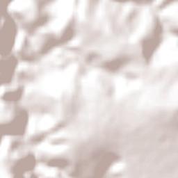 Encruzilhada Terrain Map