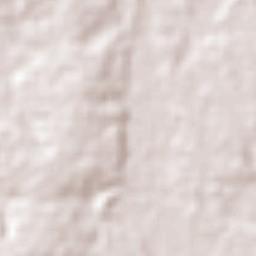 Ascensión Terrain Map