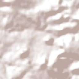 Dom Aquino Terrain Map