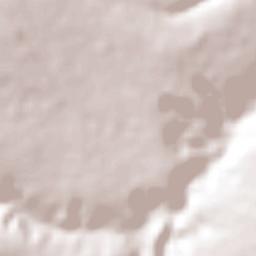 Águas Vermelhas Terrain Map