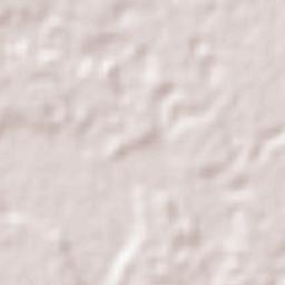 Guarayos Terrain Map