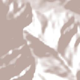 Caranavi Terrain Map