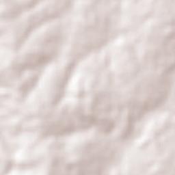 Ascención de Guarayos Terrain Map