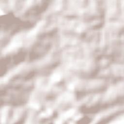 Provincia Ñuflo de Chávez Terrain Map