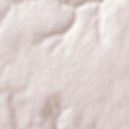 São João da Ponte Terrain Map