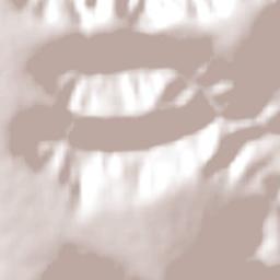 Novorizonte Terrain Map