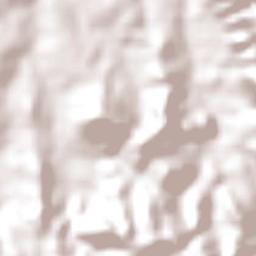 Taquaral de Goiás Terrain Map