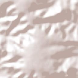 Santo Antônio do Descoberto Terrain Map