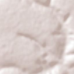 Riacho dos Machados Terrain Map