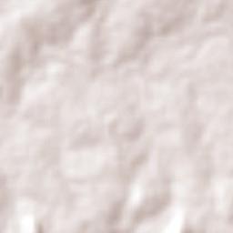 Fazenda Nova Terrain Map