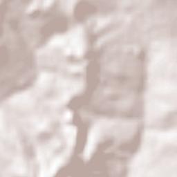 Novo Gama Terrain Map