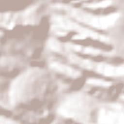 Alexânia Terrain Map