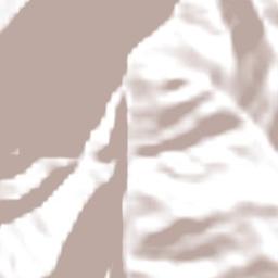 José Manuel Pando Terrain Map