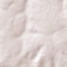 Bom Jardim de Goiás Terrain Map