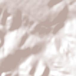 Padre Carvalho Terrain Map