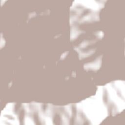 Chulumani Terrain Map