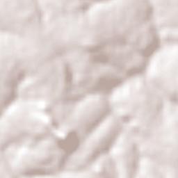 Concepción Terrain Map