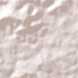 São José do Povo Terrain Map