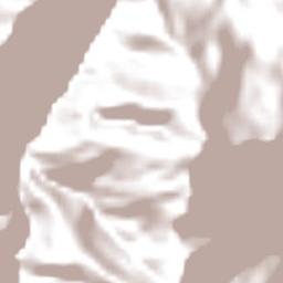 Provincia Sud Yungas Terrain Map