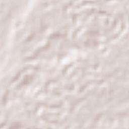 Provincia Chaparé Terrain Map