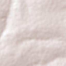 Ribeirãozinho Terrain Map