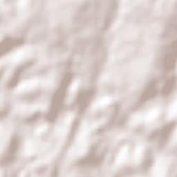 São João do Pacuí Terrain Map