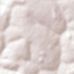 Firminópolis Terrain Map