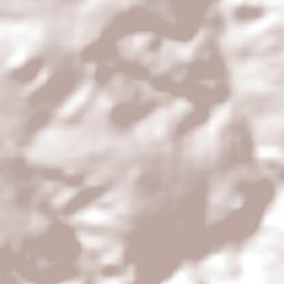 Leopoldo de Bulhões Terrain Map