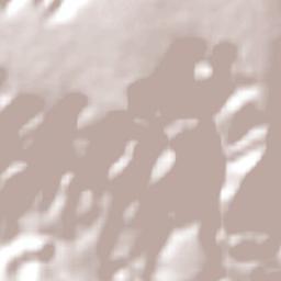 Coronel Murta Terrain Map