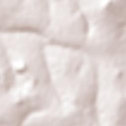 Trindade Terrain Map