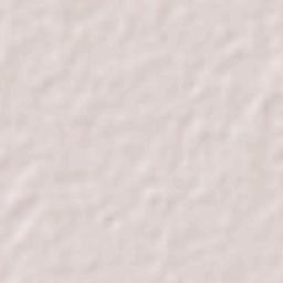 Santo Antônio do Leverger Terrain Map