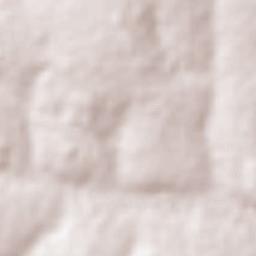 São João da Paraúna Terrain Map